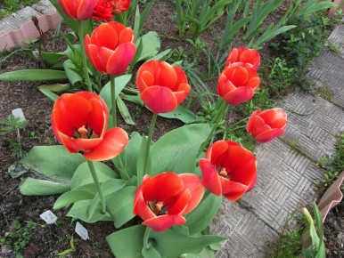 ���� �� ���������� �����������: ������ ��� ��������� �������� � ��������� ����