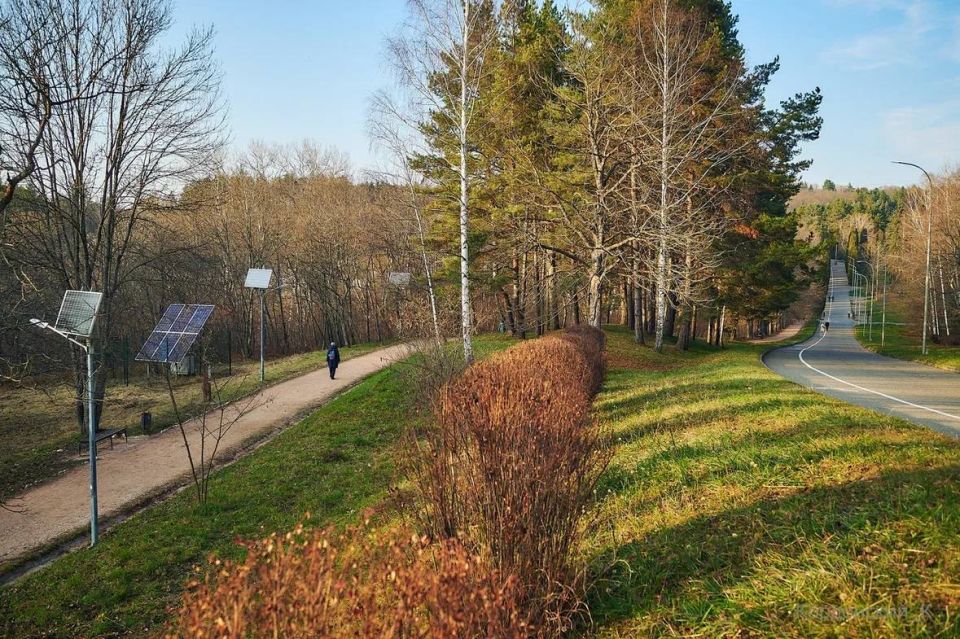 ЯНВАРСКИЙ СЮРПРИЗ В КИСЛОВОДСКОМ ПАРКЕ