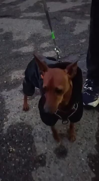 ������� �������: ���� �������.. � ������ ��������� ������ ���������� �������