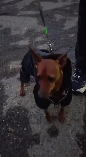 ������� �������: ���� �������.. � ������ ��������� ������ ���������� �������