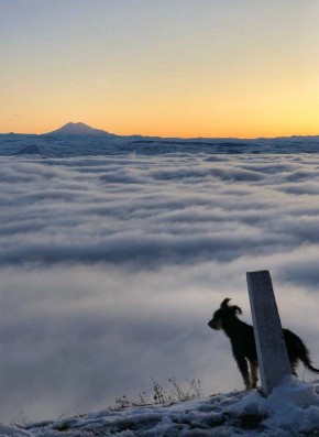 Море из облаков. На вершине горы Машук