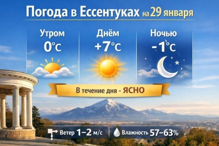 Лучи утреннего солнца, свежий воздух и новый день - что может быть лучше?