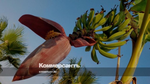 ����������� ������� ������ ����������� ������ ������� � 2027 ����