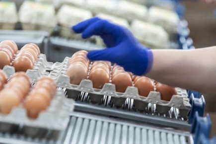 � �������������� ������������ ������������� ����� 1,5 ���� ������