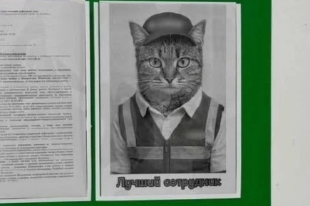 �������� ��� ������. � ������ ������ ����� ���� ������ ������� ���������