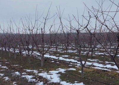 �������� ����������� � ���� ���� ������� ��������������� ��������� � ���� 528,4 �������� ������ �� ������������ � �������� ��������