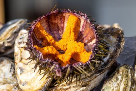 ���������������� ������: ��� ��� � ���� ������ ����������� �����������