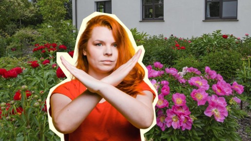 � ���� ��� � ������ ������ �� ��� ��� �����: �� �������� �� ��������