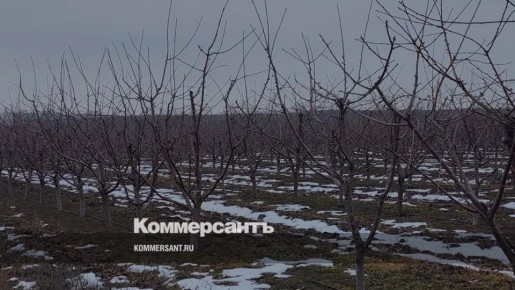 �������������� ��������� � 2026 ���� ������� ����� 528 ��� ������