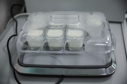 Студент СКФУ разрабатывает сенсор для определения просроченных продуктов