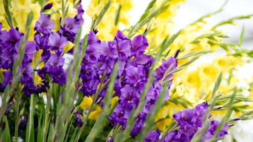 ������� ������������ ����� �����������: ��� �������� ����� �������� �� ��� � ���