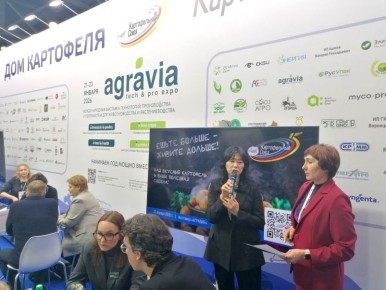 Будущее полимерной тары в картофельной отрасли: новые решения для хранения