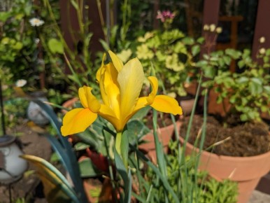 ������� ��������: ����������� ������������ � ��� � ���� ����������