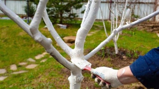 ��� �������� ������� ����� �����: ������� ������ ������� � ��������