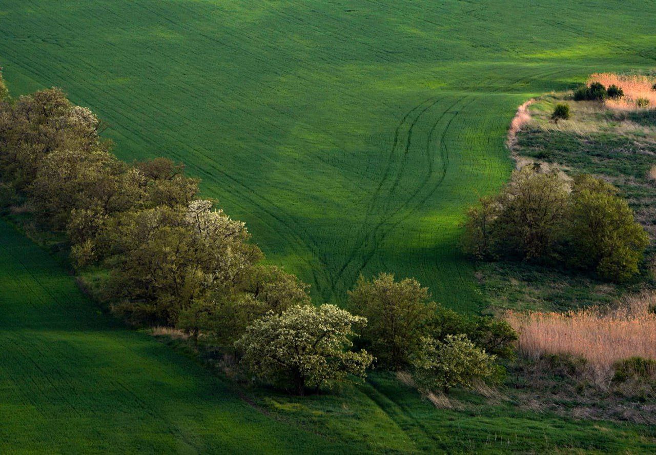 Весеннее Ставрополье. Фото(не)факт Подпишись на нас в MAX