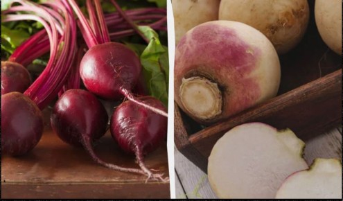 ��� ��������� ������ �� ���������� ������: �������� ������