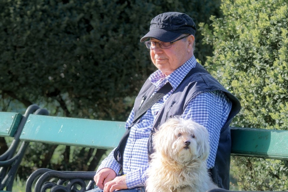 Социальный фонд не учел часть стажа для пенсии: что предпринять?