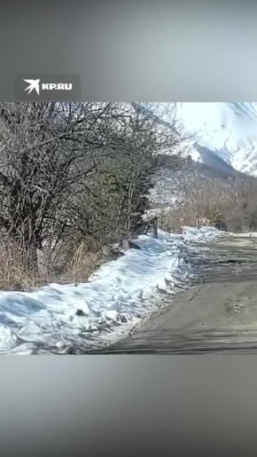 ��� ����� �����: ������ ���� ����� ������ �� �������� � �������� ������