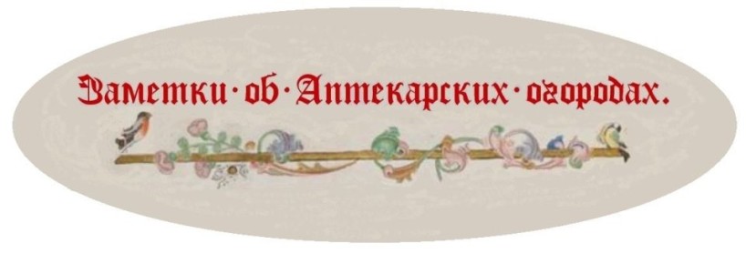 ������� �� ������: ��� ������������ ������� ��� ������ �����