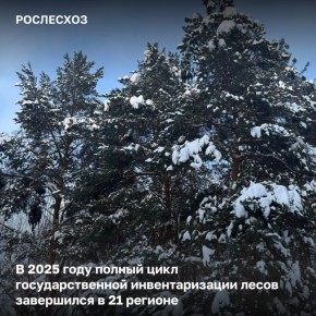 ��������� ������ ����� ����������� � 2025 ���� ����� � ������ ������� ����� ��������������� �������������� ����� (���)