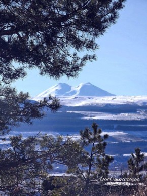 ����������� ������� ���� � �������������� ������� �� �����������