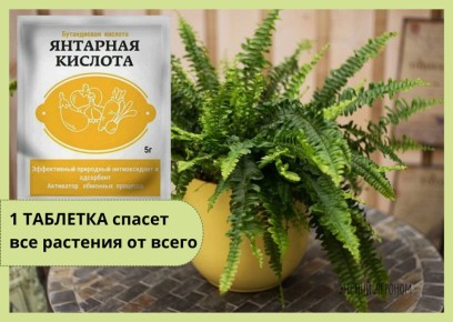 �������� ������� ��� ��������: �����, ��� � ����� � ������������