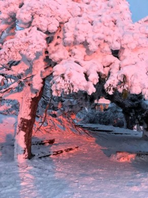 ������� �������� ���. �������� ���� ������� ��������� �� ��� � MAX