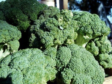 ��� ��������� �������� ��������: �� ������ ����� �� ����� ������