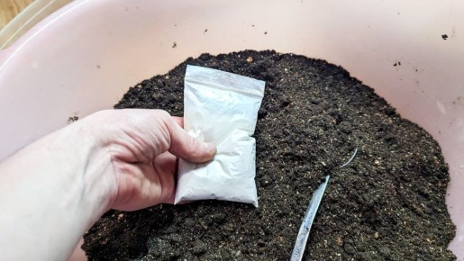 ��� ������� ��������� ����� ��� ������� ��������� � �����