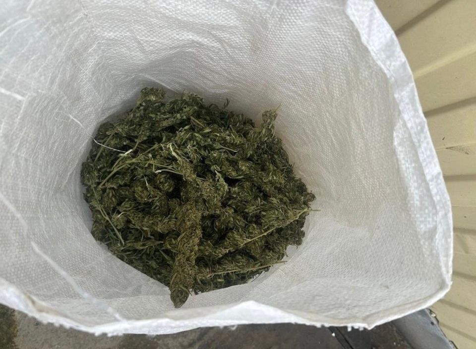 ������ �������������������� ������ ������� � ���� �� �������� ����� ���� ����������� ���������