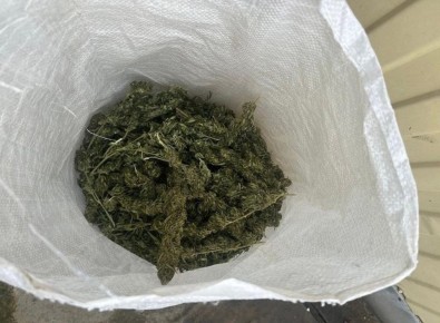 ������ �������������������� ������ ������� � ���� �� �������� ����� ���� ����������� ���������