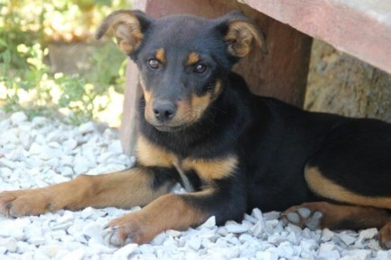 ���������, ������: ����� ������� � ����� ������ �������� ������������ �������������