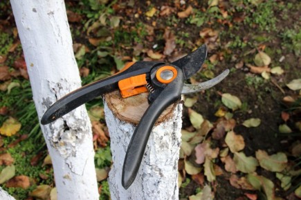 ������ ��� ���������� ���� � ����: �������, �������, �������