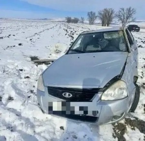 � ���������� ������ � ���������� ������������� ���� ���������� ��������