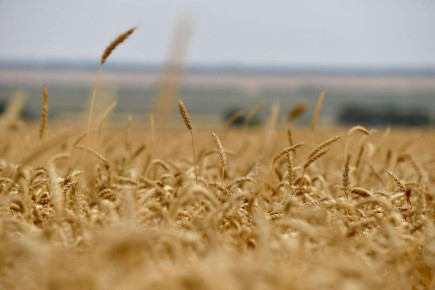 �������: ����������� - ������ ������������������ ������������ ������