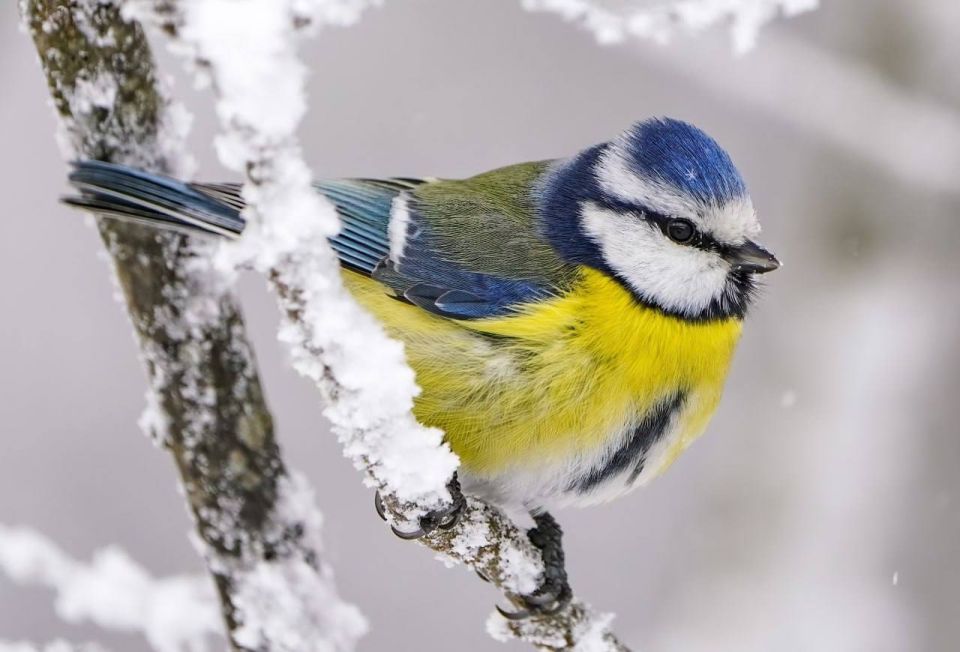 ��� ����� ����� ������ ����������� � ����������!