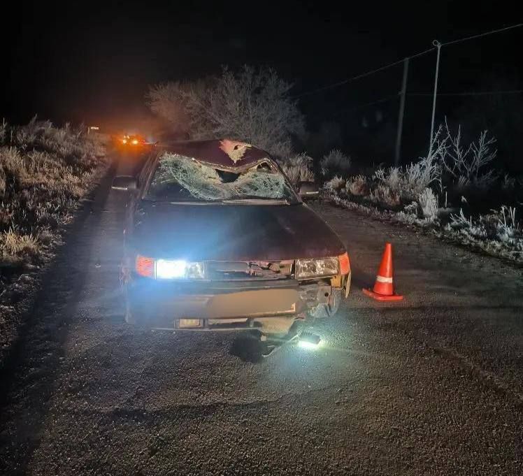 В Предгорном округе водитель автомобиля допустил смертельный наезд на пешехода