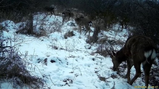 ���������� ����� ����� ������ � �������� ����������� �� �����������