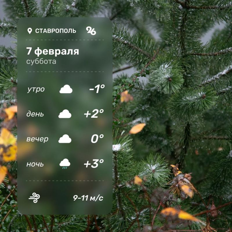 ������ � ���������� 7 �������