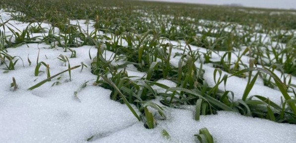 � �������������� ���� ���������� ���������� ������ ��������� ������ �������