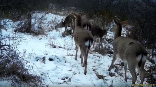 ����������� �� ����������� ������� ����� ��������� ������