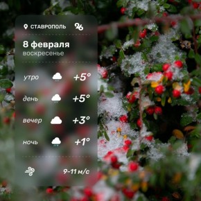 ������ � ���������� 8 �������