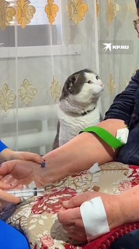 ������ ����� ����� �� ������� ��� �� �������