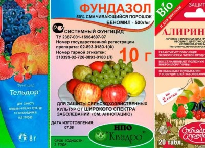 ��������: ��� ������ ���� ���������� ��������?