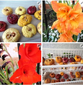 ����� ���� ����������� �������� ����������� � ���������� ������?