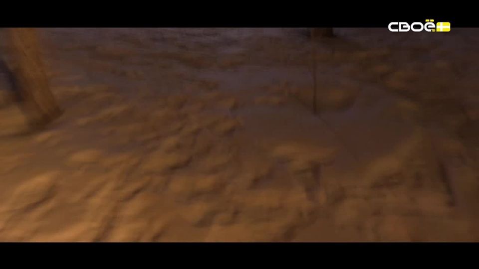 "������ ���������" �� �����