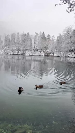 ���������-��������. ������� �����