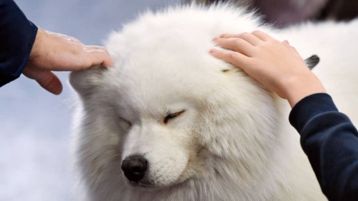 ��������������� �� �������� ��������: ������������� �� ���� � ��������