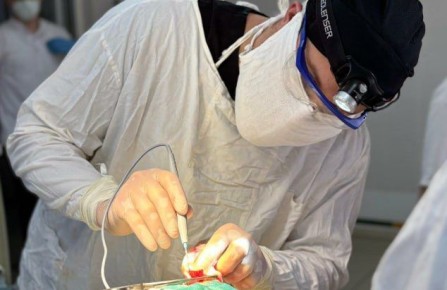 ������������ � ���������� ������� � ����� ������� � ������� ������� ������