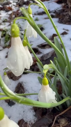 ������ ����������� � ����� ���������